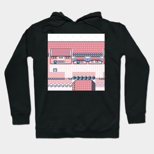 Fuchsia City Hoodie